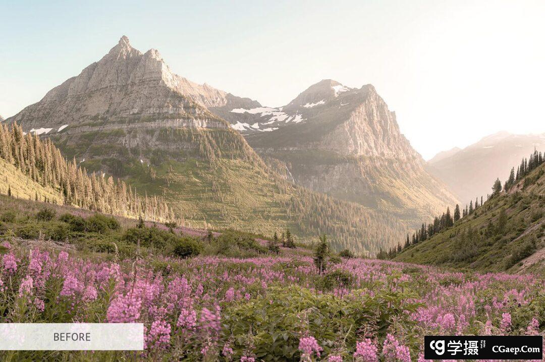 a2cabb42e92532cf198cdfe191d6c4b5