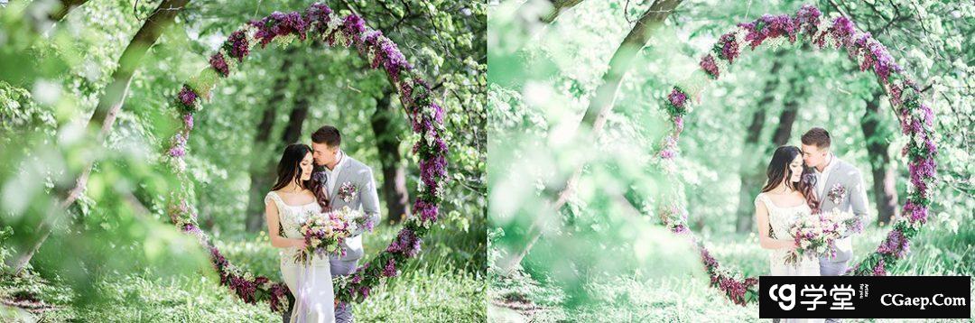 b0052301f42dbc788f2cbbb3995af10c