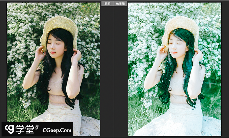 b602e198b96116420248694134838685