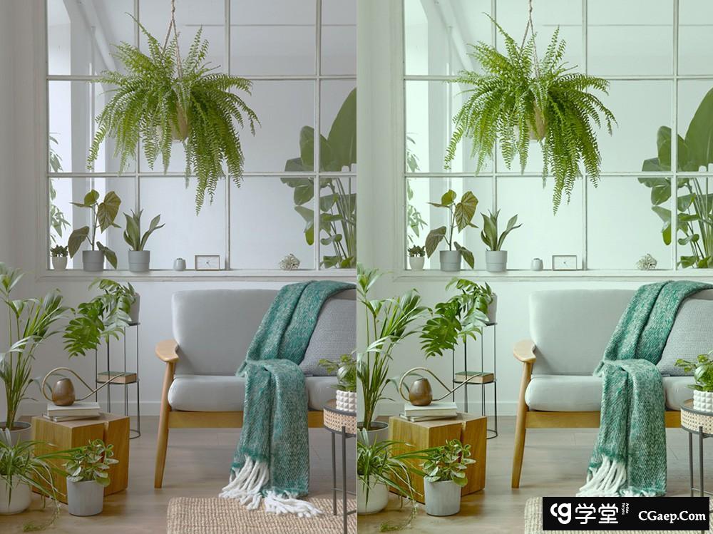 INS风格人像清新绿色调Lightroom预设 OnPresets -CACTUS