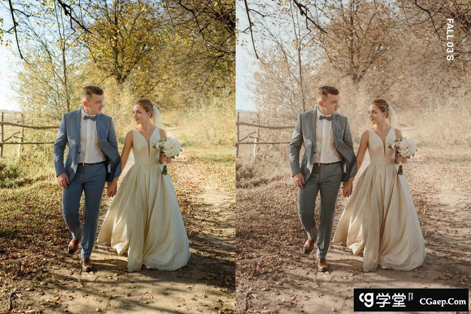 b74133c5934c4443d73f2658831bd80f