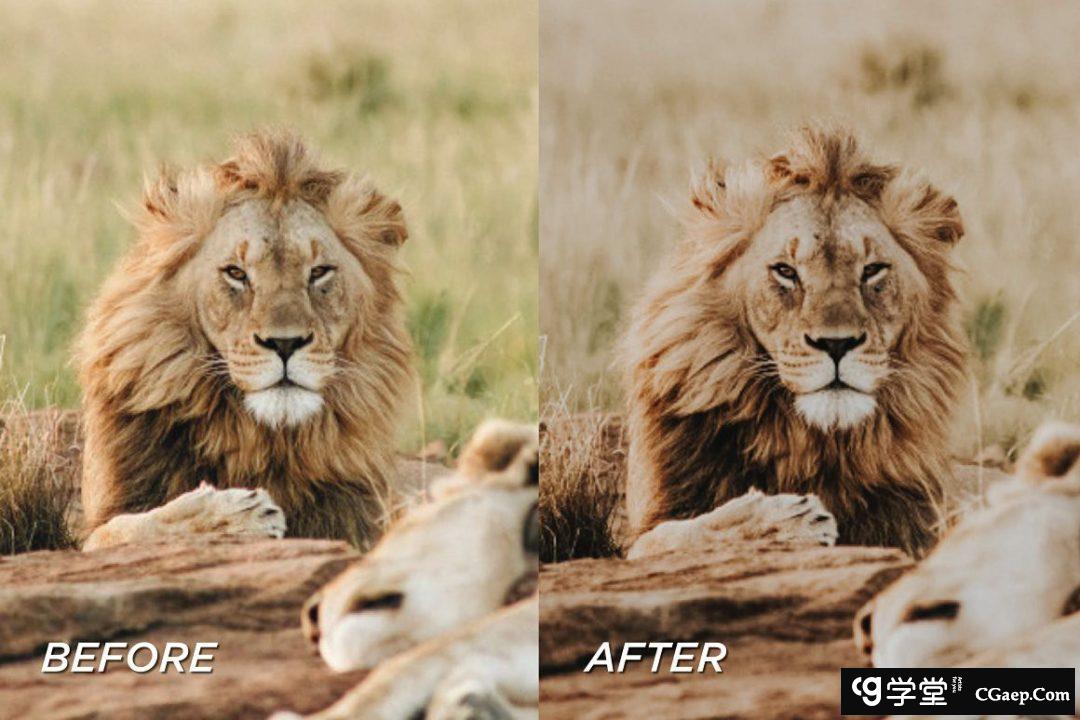 bdfb162c6045e2a20dea7a90278de2a3