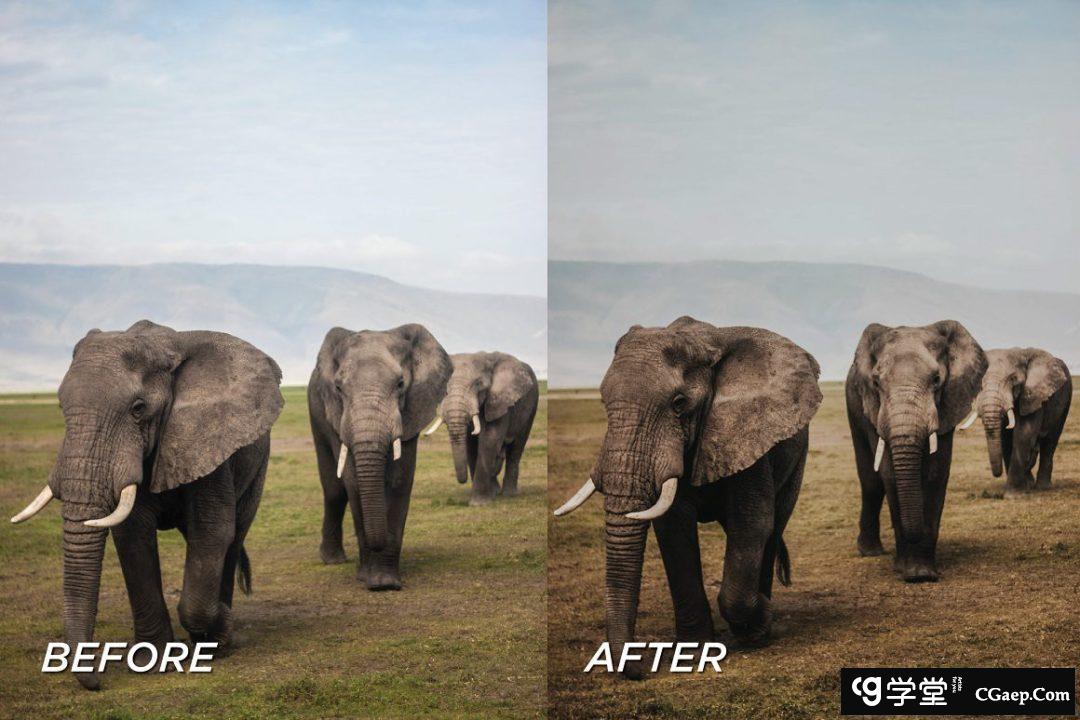 c2ab0848a2c3948cc59d00cb1be735ca