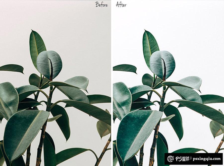 c34c88161a0b571ee62d0f0503b7d90a