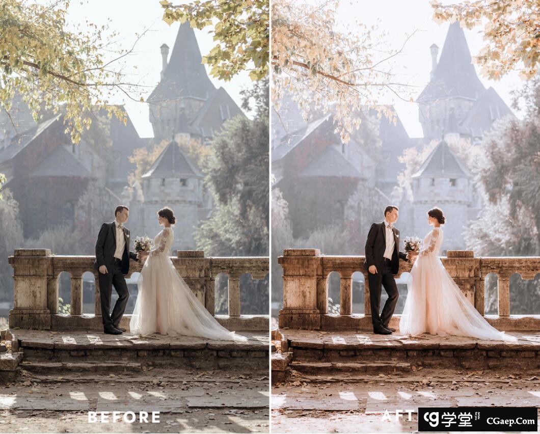 c6da0b7833115690d259117c8c469eb3