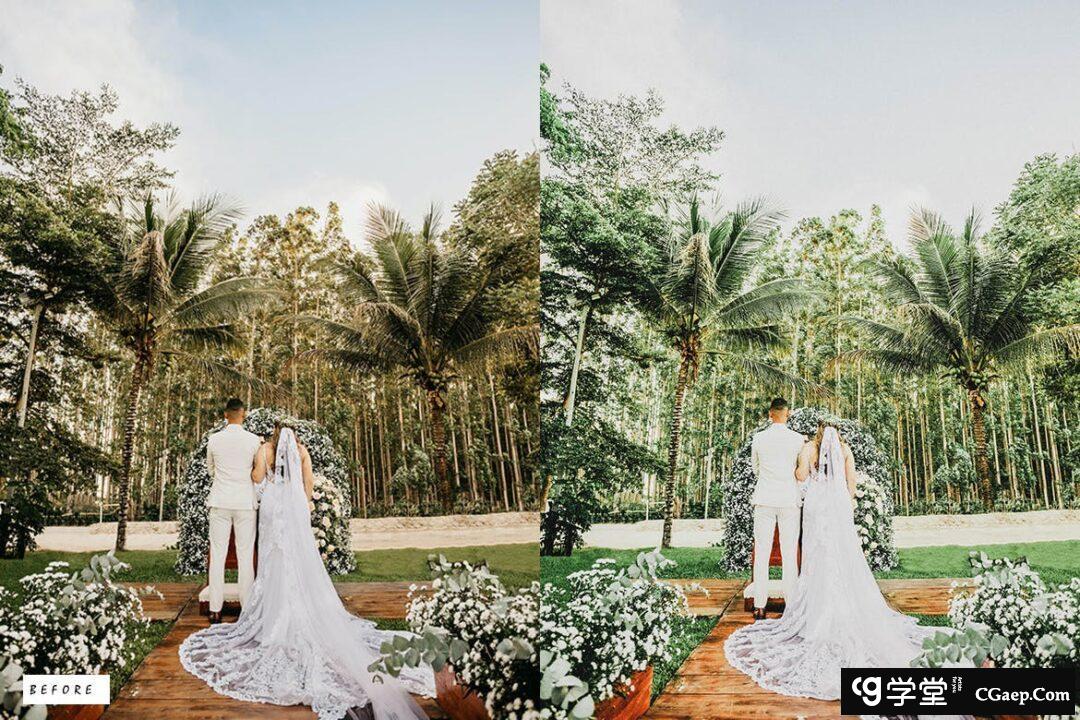 c74f3d15608e5d9f4a7e8eb6da53813a