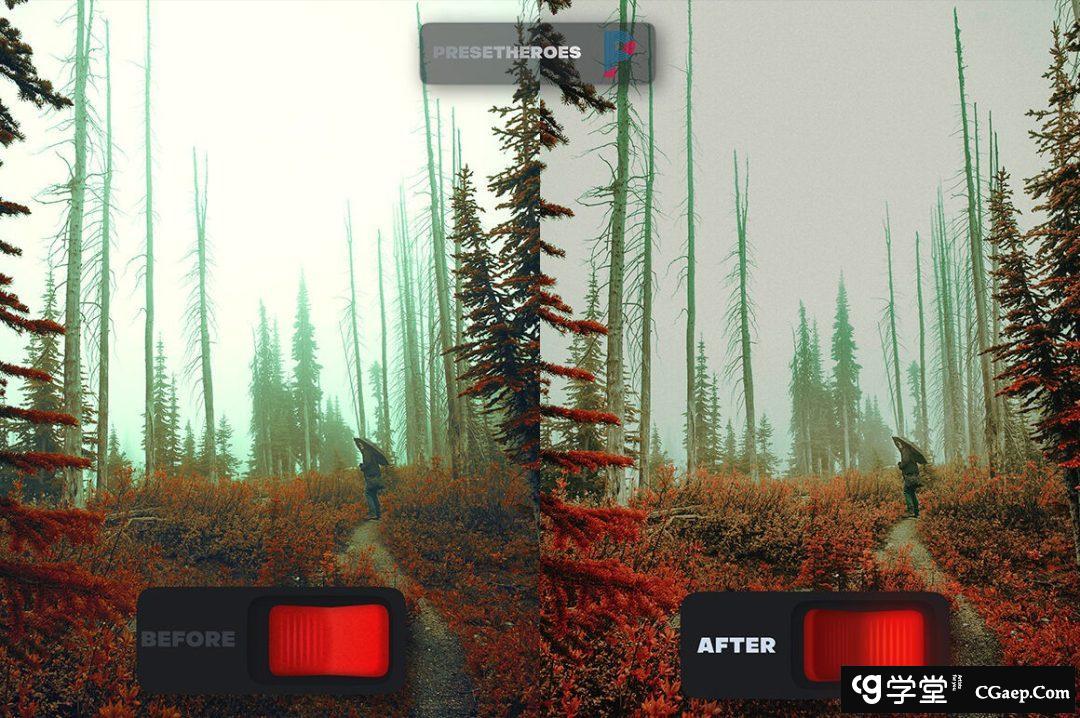 用于情绪片的人像合风光后期Lightroom预设N0MAD LIGHTROOM PRESETS V2