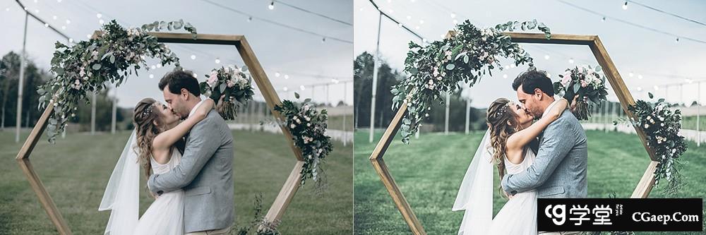 d0039d62503342a755d7ff2e3dc3fbd6