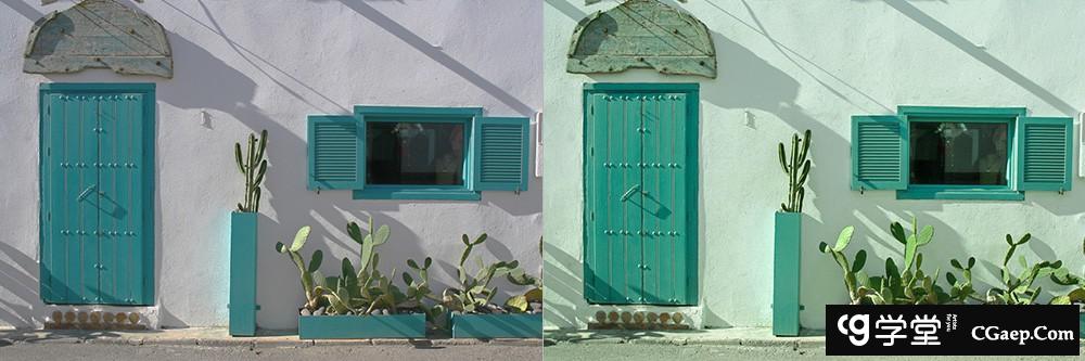 INS风格人像清新绿色调Lightroom预设 OnPresets -CACTUS