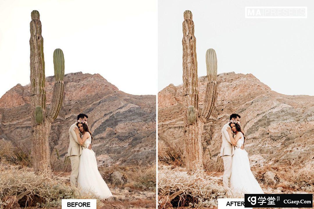 d8b4d6b32645e0bd1d91a5848a5c9891