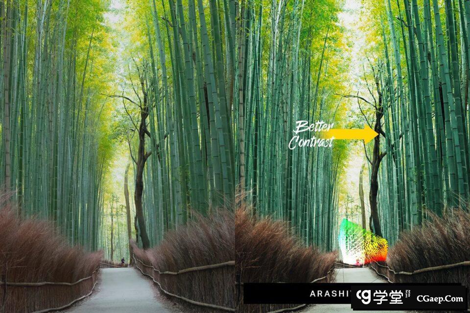 d8e5afc21984ed250a9d93877fc2c94d