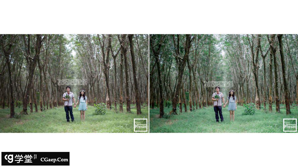 d991daa9d76723d582774544fc213d78