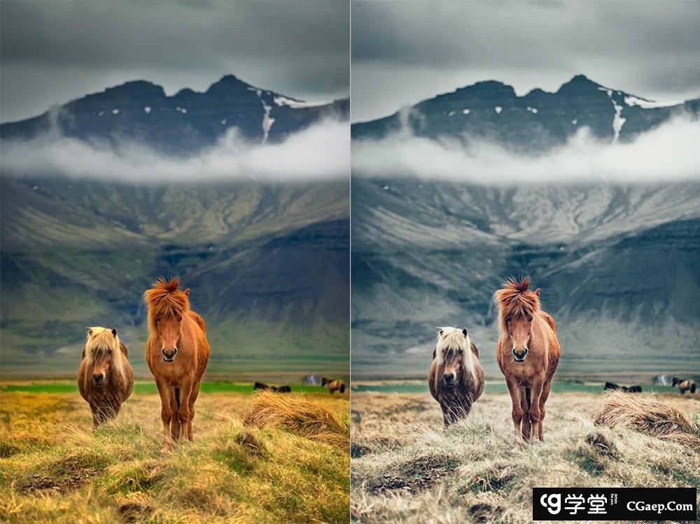 e0da5abc12e5263a0db857473a041453