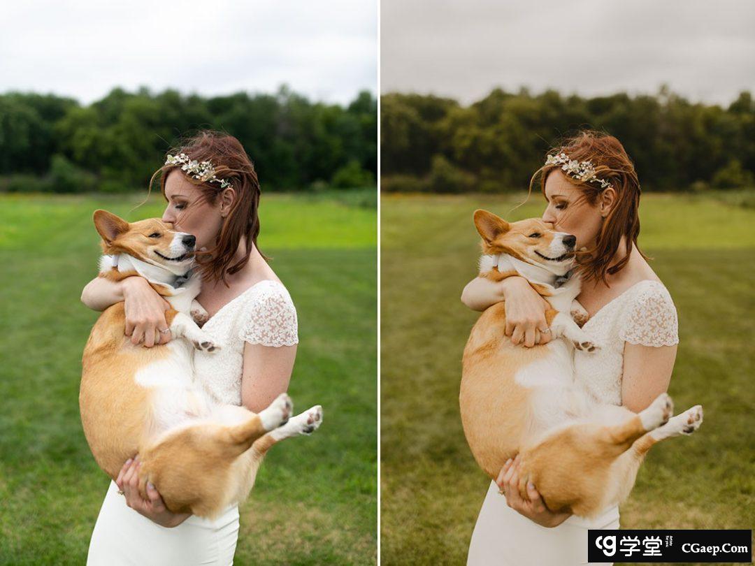 ebb366b644c45f95cf1219987de9ff56