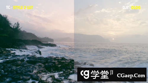 09dd8c2662b96ce14928333f055c5580-2