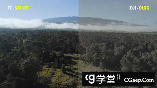 10fb15c77258a991b0028080a64fb42d-2