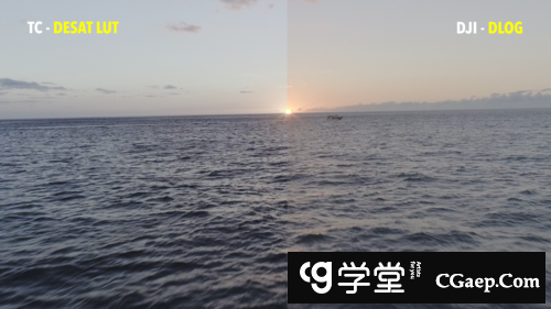 602e8f042f463dc47ebfdf6a94ed5a6d-2