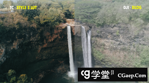 fb5c81ed3a220004b71069645f112867-2