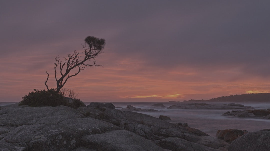 北欧自然风LUT预设18款.cube .xmp .dng多平台支持LR/PR/达芬奇调色GradeFruit - Nordic Tales LUTs & LR Presets