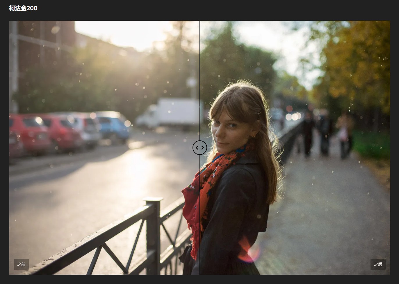 Elite Kodak胶片模拟Lightroom预设调色Ektar/Gold经典色彩 LR/ACR专用预设包Cobalt Image - Elite Kodak 1.0