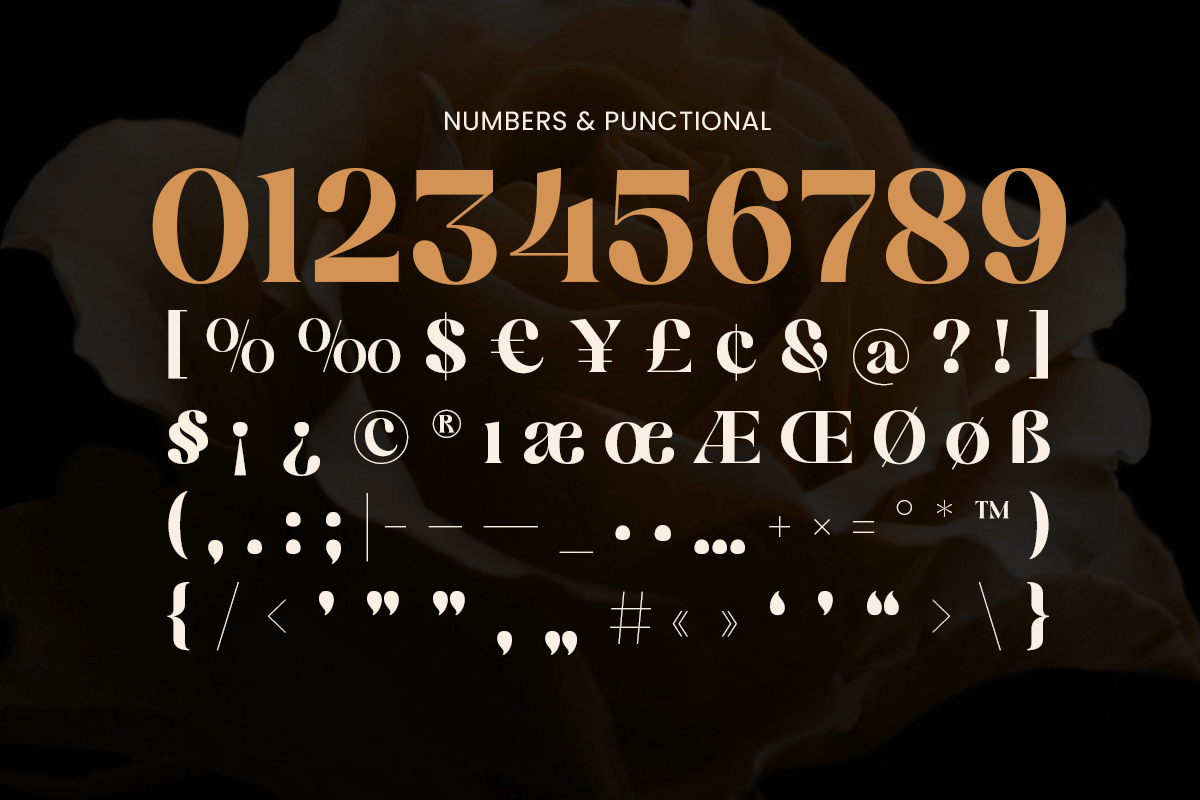 Kyanite现代优雅衬线字体 高端品牌标志设计专用 精致永恒魅力OTF/TTF/WOFF格式 Kyanite - Modern Elegant Serif Font