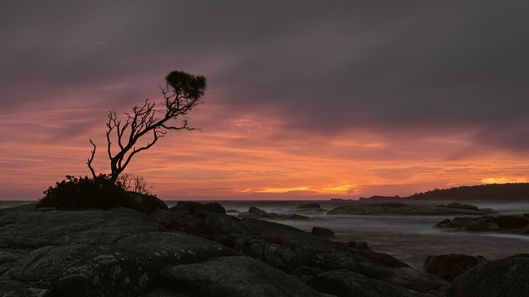 北欧自然风LUT预设18款.cube .xmp .dng多平台支持LR/PR/达芬奇调色GradeFruit - Nordic Tales LUTs & LR Presets