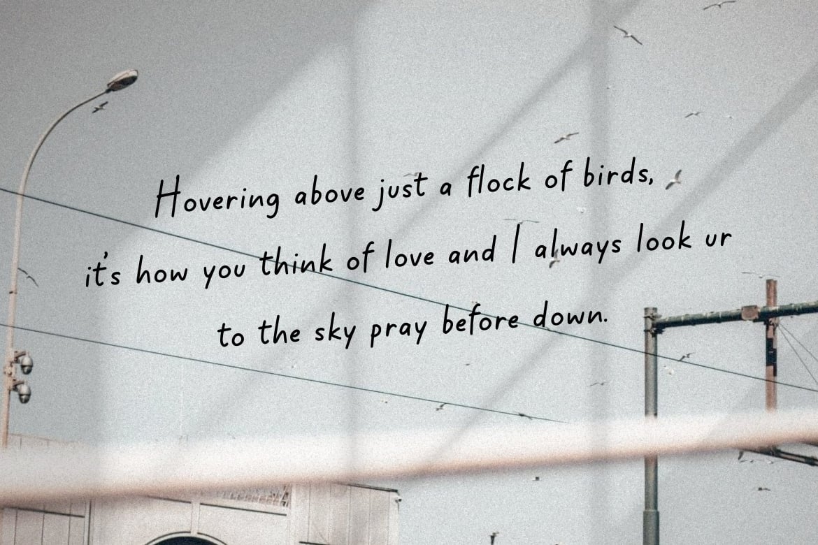 Missing Lovely可爱手写字体 多语言支持品牌包装设计 OTF/TTF/WOFF格式 温暖个性风格 AL - Missing Lovely