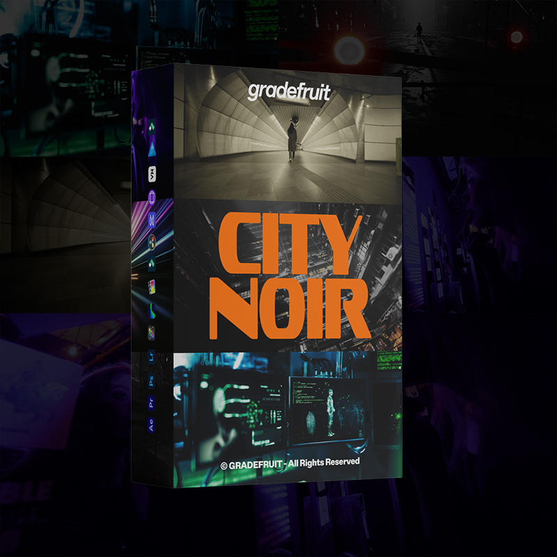 霓虹赛博朋克LUT预设17款.cube .drx .dng多平台支持LR/PR/达芬奇调色GradeFruit - City Noir LUTs & LR Presets