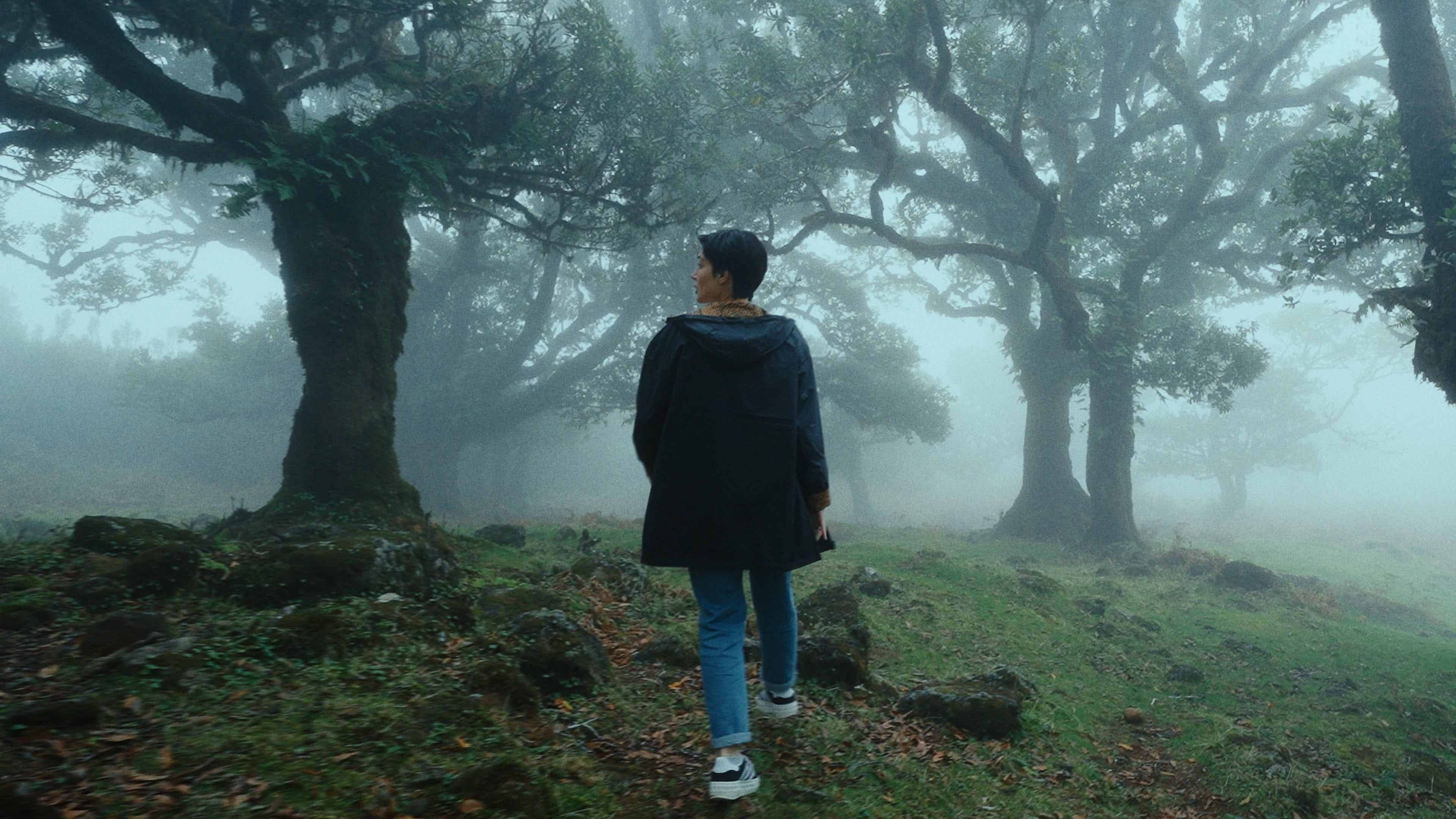 电影级视频调色LUT 10款.cube格式多风格兼容PR/达芬奇/FCPX影视预设Dopamine Frame - Cinematic V1 Video LUTs