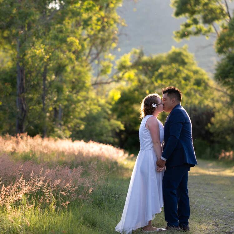 胶片模拟预设Filmist Bundle v2.51柯达富士LUT/LR/C1专业级调色套件Seim Effects - Fimist Bundle for Preset and Lut v2.51