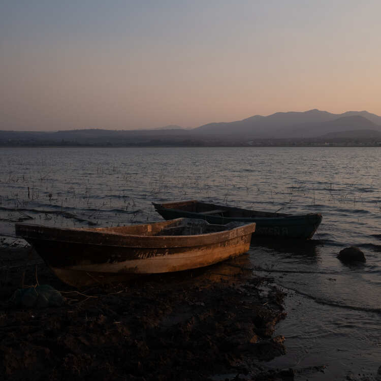 胶片模拟预设Filmist Bundle v2.51柯达富士LUT/LR/C1专业级调色套件Seim Effects - Fimist Bundle for Preset and Lut v2.51