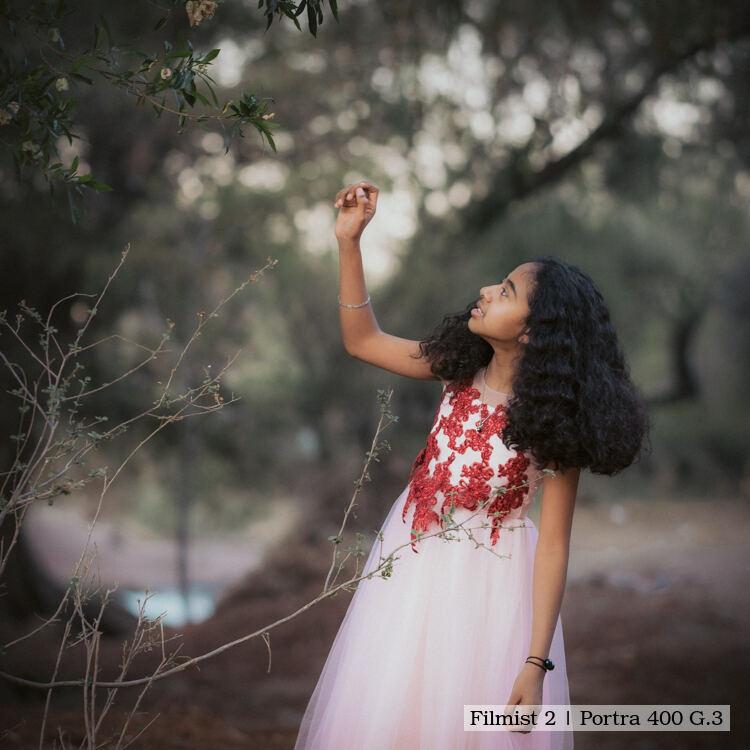 胶片模拟预设Filmist Bundle v2.51柯达富士LUT/LR/C1专业级调色套件Seim Effects - Fimist Bundle for Preset and Lut v2.51