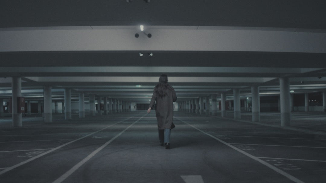 电影大片LUT预设16款.cube .drx .dng高饱和动态色调PR/达芬奇调色GradeFruit - Blockbuster V2 LUTs & LR Presets