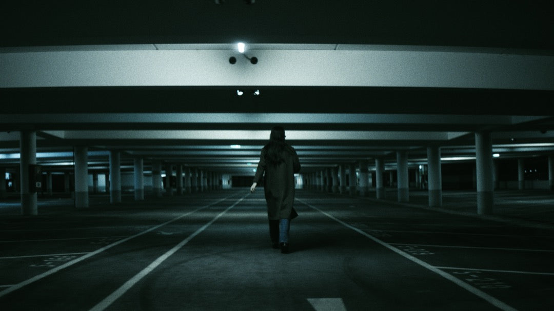 电影大片LUT预设16款.cube .drx .dng高饱和动态色调PR/达芬奇调色GradeFruit - Blockbuster V2 LUTs & LR Presets