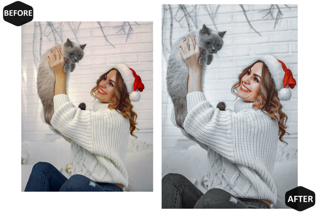 圣诞Lightroom调色预设10款手机DNG桌面LR模板双版本节日氛围摄影滤镜人像风景