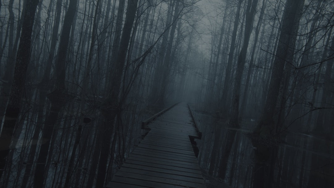 电影大片LUT预设16款.cube .drx .dng高饱和动态色调PR/达芬奇调色GradeFruit - Blockbuster V2 LUTs & LR Presets