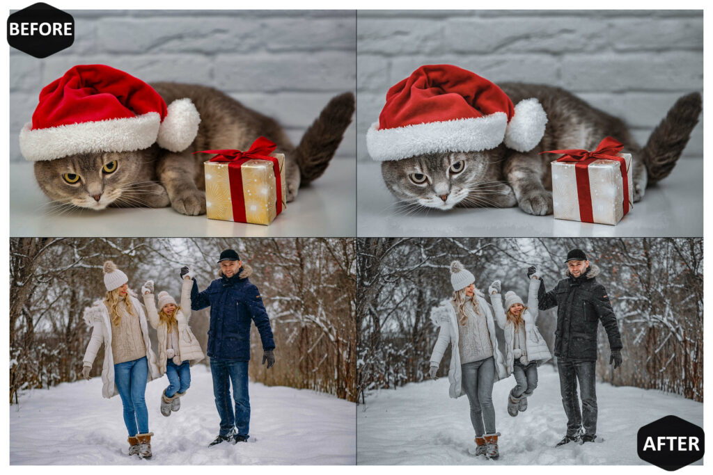 圣诞Lightroom调色预设10款手机DNG桌面LR模板双版本节日氛围摄影滤镜人像风景