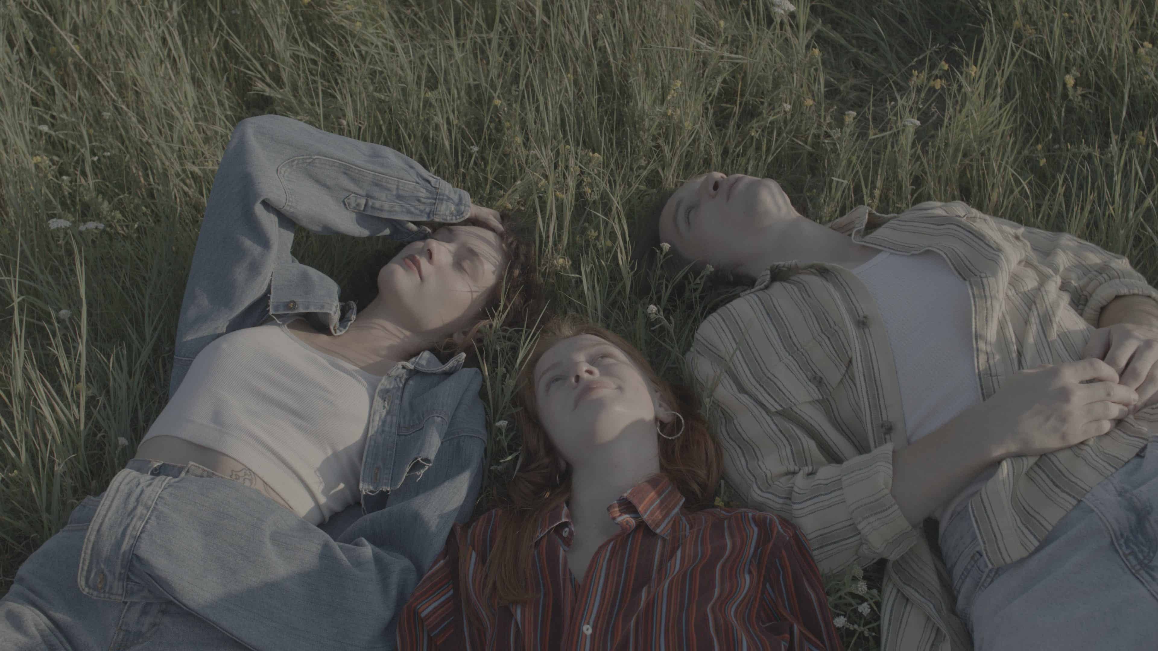 电影级视频调色LUT 10款.cube格式多风格兼容PR/达芬奇/FCPX影视预设Dopamine Frame - Cinematic V1 Video LUTs