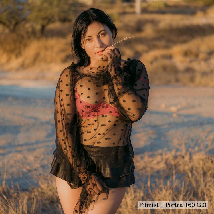 胶片模拟预设Filmist Bundle v2.51柯达富士LUT/LR/C1专业级调色套件Seim Effects - Fimist Bundle for Preset and Lut v2.51