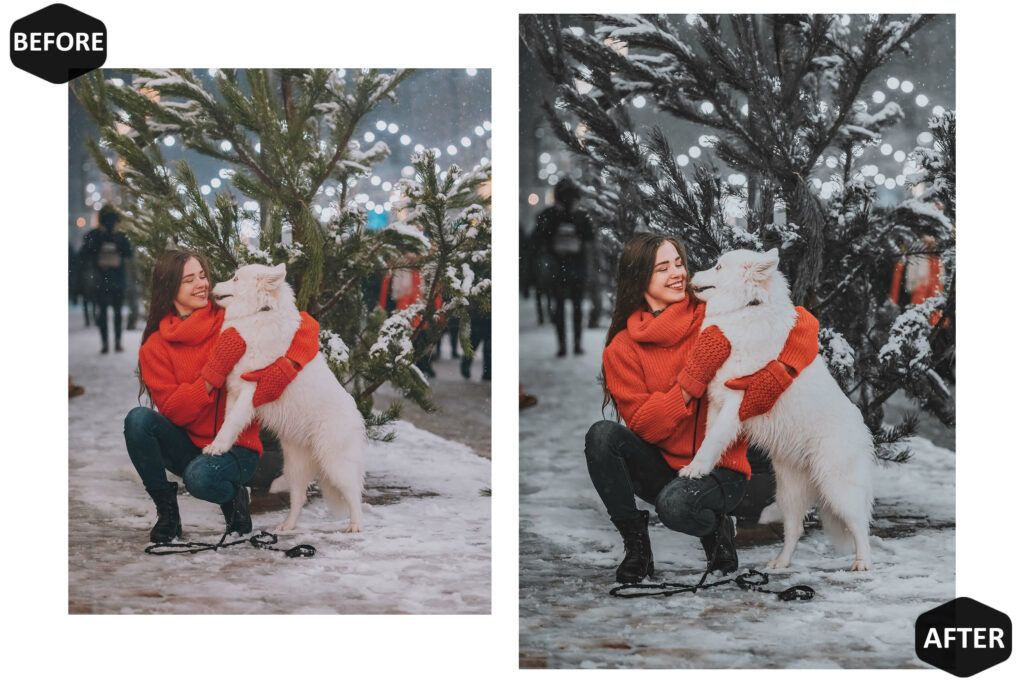 圣诞Lightroom调色预设10款手机DNG桌面LR模板双版本节日氛围摄影滤镜人像风景