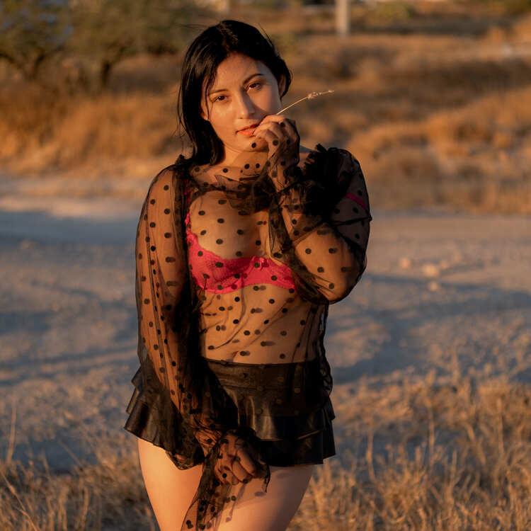 胶片模拟预设Filmist Bundle v2.51柯达富士LUT/LR/C1专业级调色套件Seim Effects - Fimist Bundle for Preset and Lut v2.51