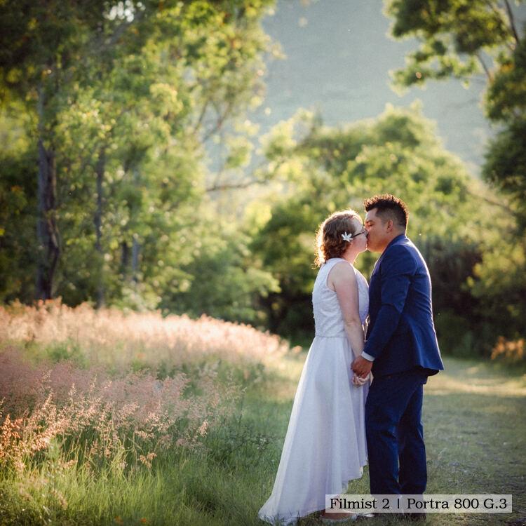 胶片模拟预设Filmist Bundle v2.51柯达富士LUT/LR/C1专业级调色套件Seim Effects - Fimist Bundle for Preset and Lut v2.51