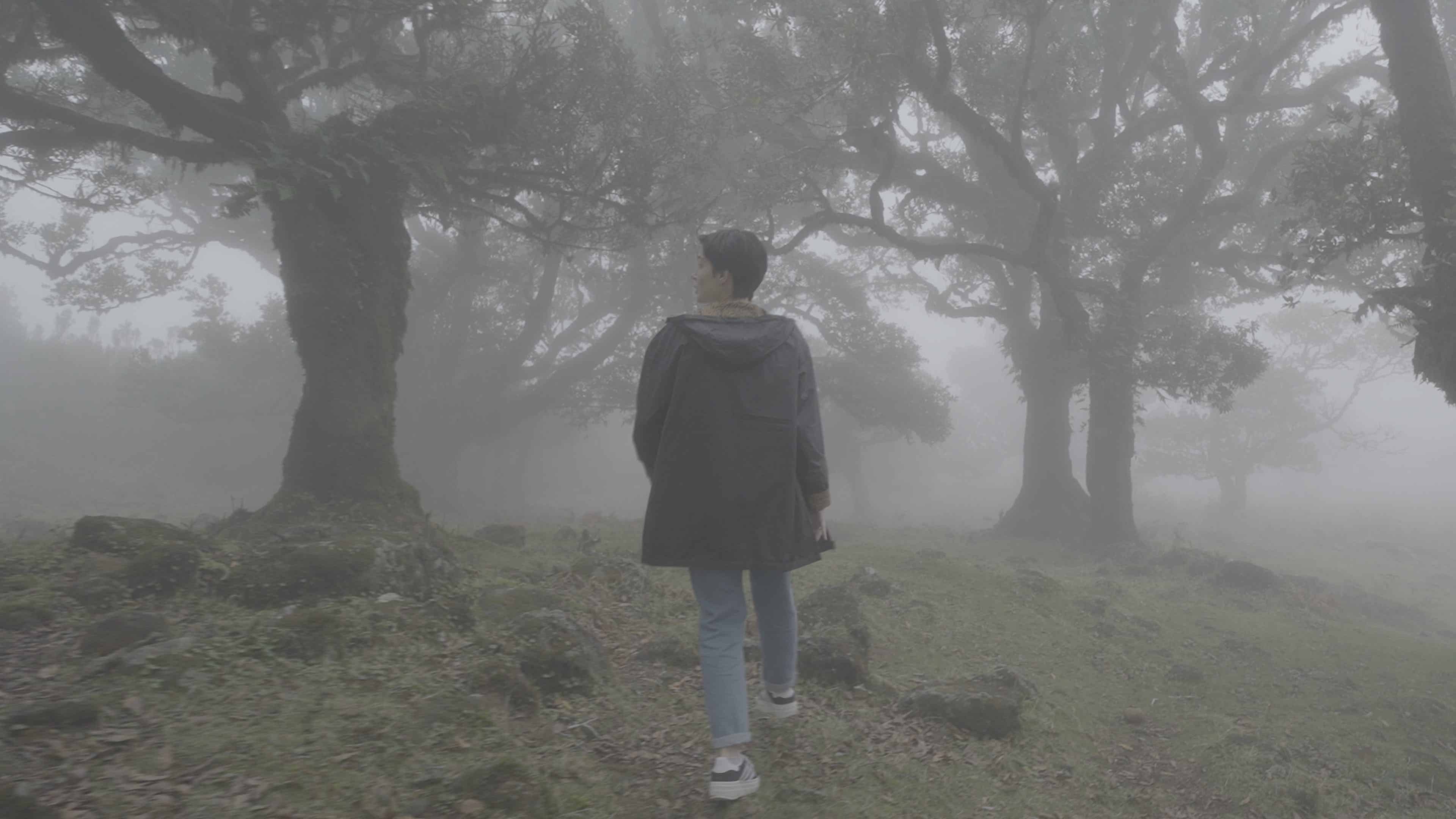 电影级视频调色LUT 10款.cube格式多风格兼容PR/达芬奇/FCPX影视预设Dopamine Frame - Cinematic V1 Video LUTs