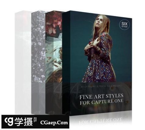 超唯美精美艺术风格飞思预设三套合集 for Capture One Pro(Win/Mac)