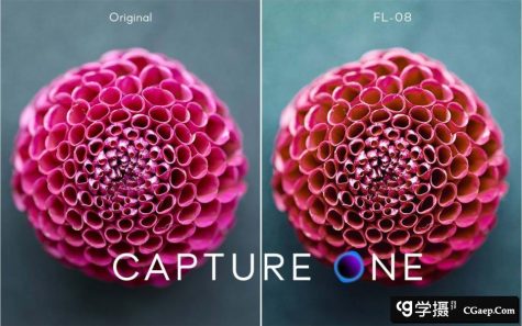 飞思Capture One样式下载- 经典电影胶片预设Capture One样式合集