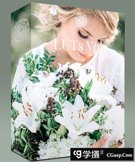 飞思婚礼人像预设第一季-KREATIV WEDDING LUTS VOL1 for Capture One Pro
