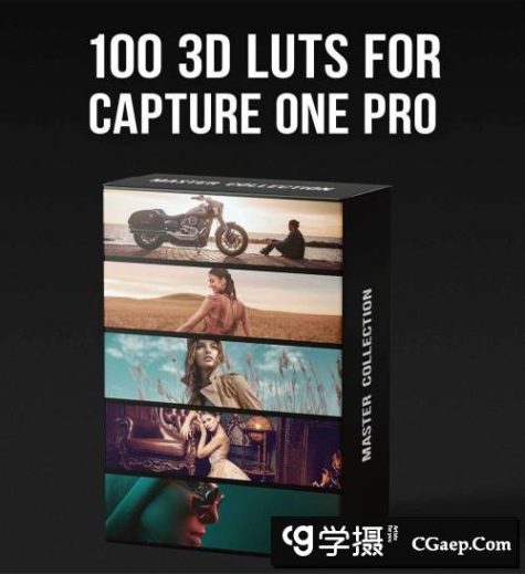 飞思LUT预设PRO EDU-Master Collection -100 3D Lut Profiles Capture One Pro