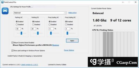 Bitsum ParkControl Pro 2.2.0.4 多语言版