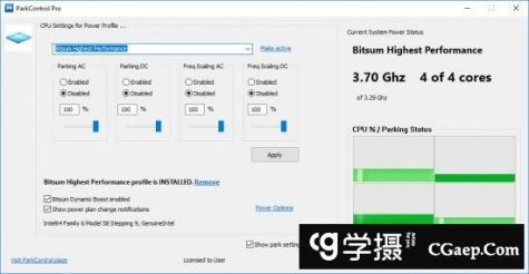 Bitsum ParkControl Pro 2.2.0.6 多语言版