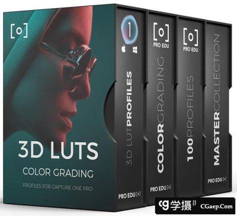 PRO EDU-大师收藏-用于Capture One Pro的100个3D LUT配置文件(附教程)